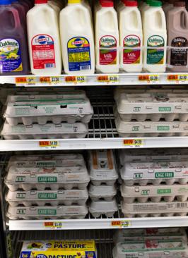 Refrigerated dairy case filled with jugs of milk and stacked cartons of eggs.